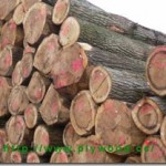 wood-log-150x150
